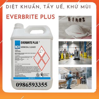 Dung dịch diệt khuẩn diệt nấm mốc gây bệnh - Everbrite Plus