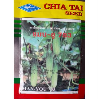 Hạt giống dưa leo man you 783 thái Lan 10g