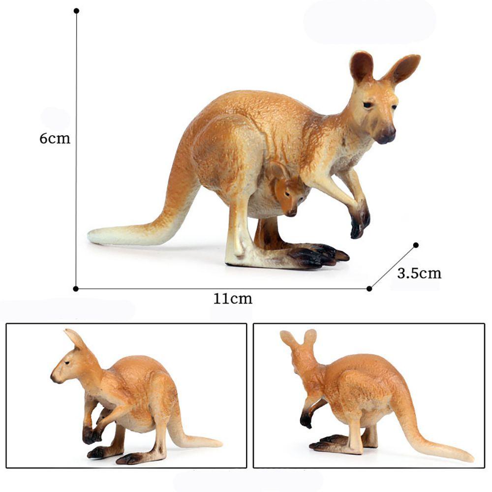 Mô Hình Kangaroo Đồ Chơi Giảng Dạy Khoa Học &amp; Động Vật Hoang Dã LAYOR1