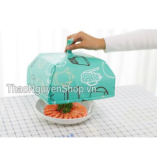 Lồng bàn gấp gọn-T3A1