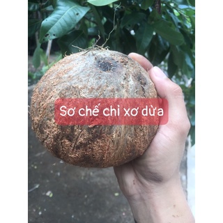 Dừa khô Bến Tre được lột sẵn vỏ