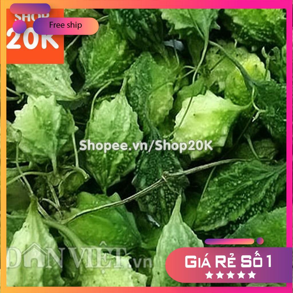 Hạt giống Khổ qua rừng