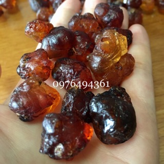 Nhựa Đào Vân Nam Loại Thượng Phẩm