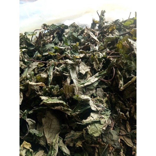 Lá đắng (lá cơm kìa rừng Tây Bắc )