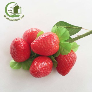 Chùm quả dâu tây giả 5 trái