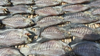 Khô cá sặc bỗi ( 12 con ) một ký