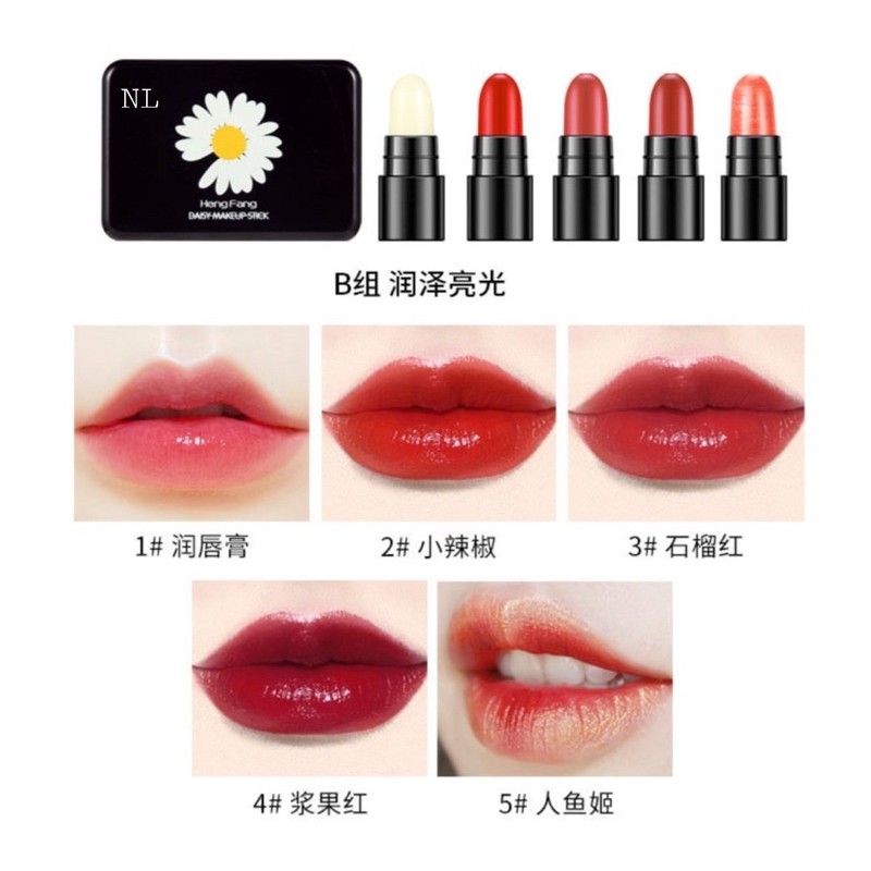 Set 5 son vali hoa cúc