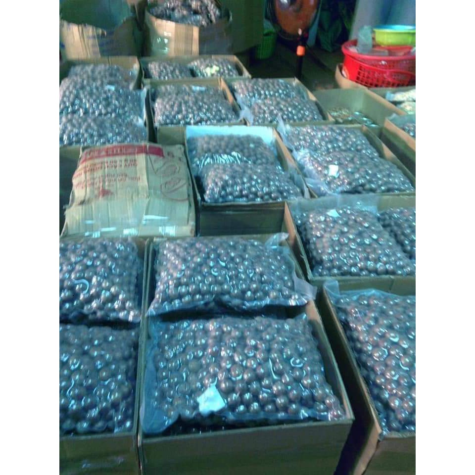 500g Hạt Macca Sach Dak Lak nhà trồng loại 1 size 23-26 kèm dụng cụ tách vỏ / Mắc ca/ hạt Mac ca | BigBuy360 - bigbuy360.vn