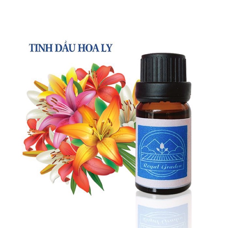 tinh dầu hoa ly làm thơm phòng dung tích 10ml