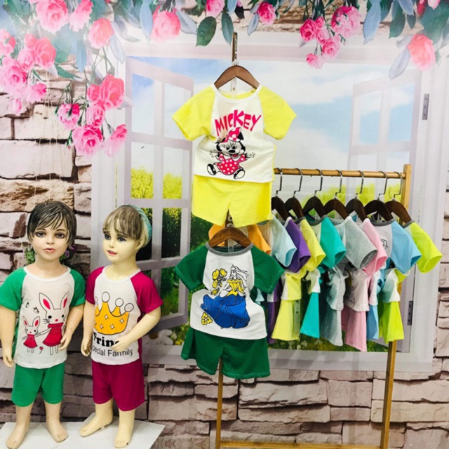 Combo 25b áo cotton