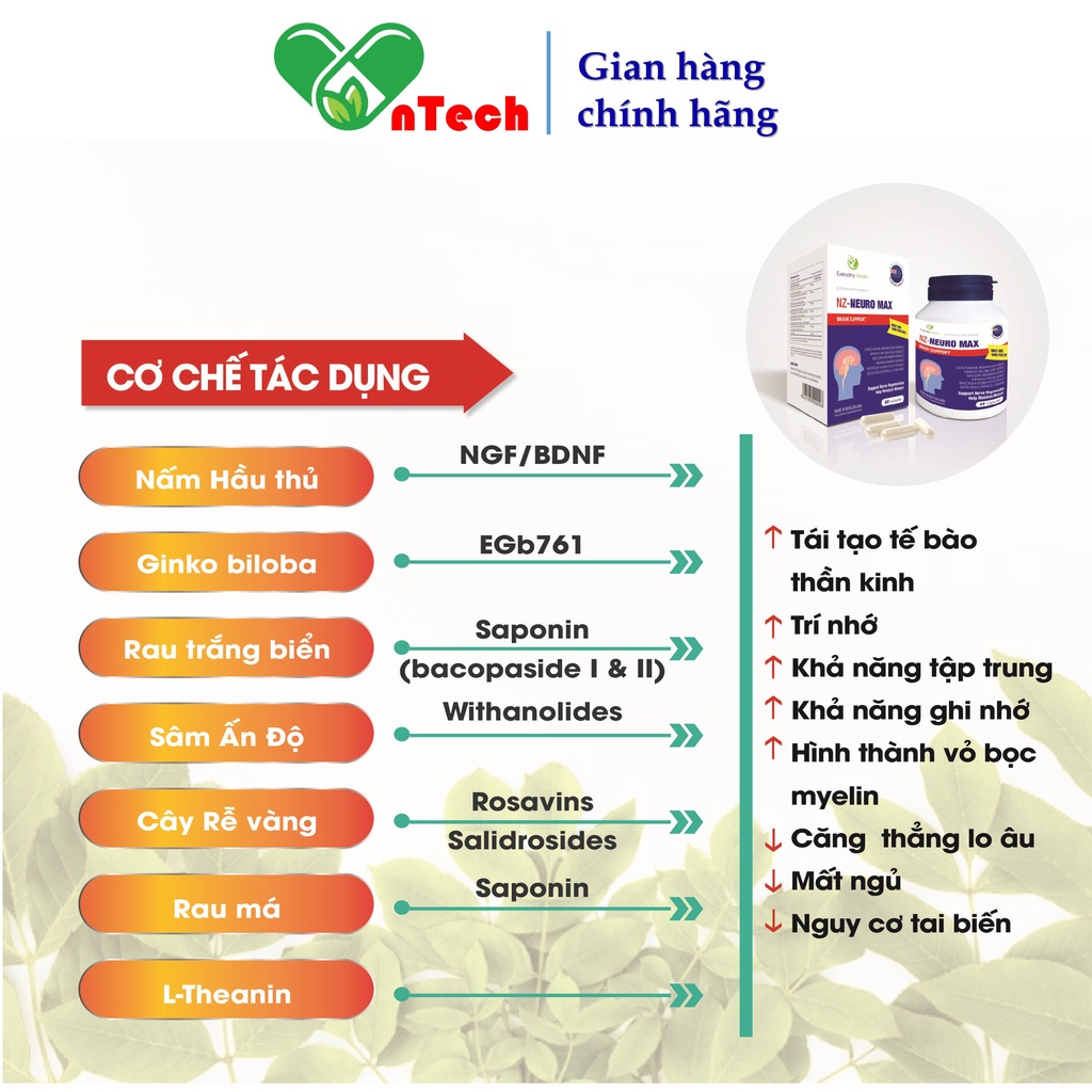 Viên uống bổ não Everyday Health NZ - NEURO MAX tăng cường tuần hoàn não cải thiện trí lực và thị lực hộp 60 viên