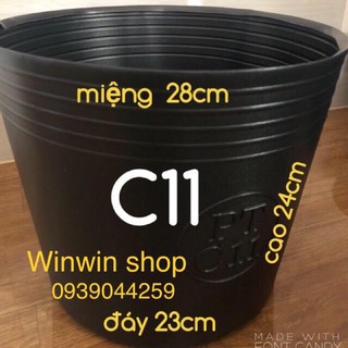 Chậu nhựa C11, combo 50 cái chậu nhựa C11 trông cây cảnh