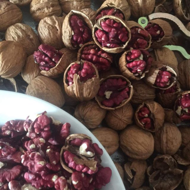 Quả óc chó đỏ
