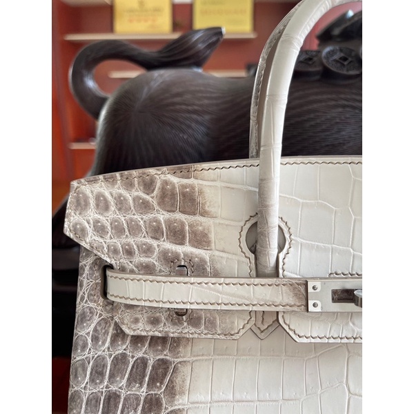Túi xách nữ Hermes HM Birkin 25cm da cá sấu sông nile bản màu trắng cao cấp