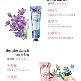 ( COMBO 10 TUÝP) KEM DƯỠNG TAY HANCREAM MAYCREATE