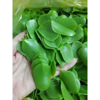 vảy nhựa giả làm rồng phượng