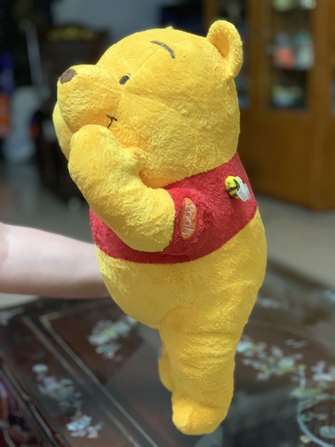 Pooh Ong 60cm