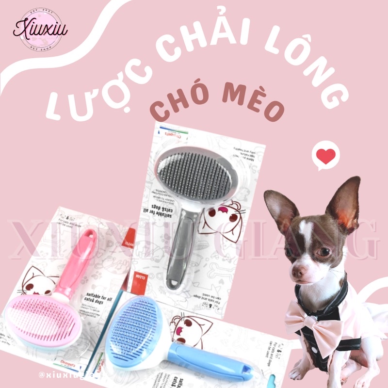 Lược Chải Lông Cho Chó Mèo Màu Sắc Đáng Yêu - Xiuxiu Giang
