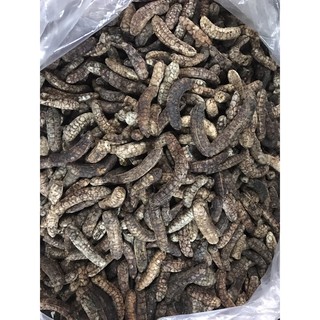 Chuối hột rừng ( loại cả quả )