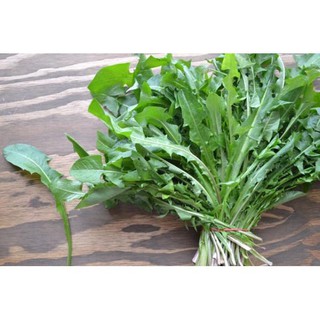 Hạt Giống Bồ Công Anh (500 Hạt) - Dễ Trồng, Dinh Dưỡng, Năng Suất Cao - MUA 3 TẶNG 1 CÙNG LOẠI