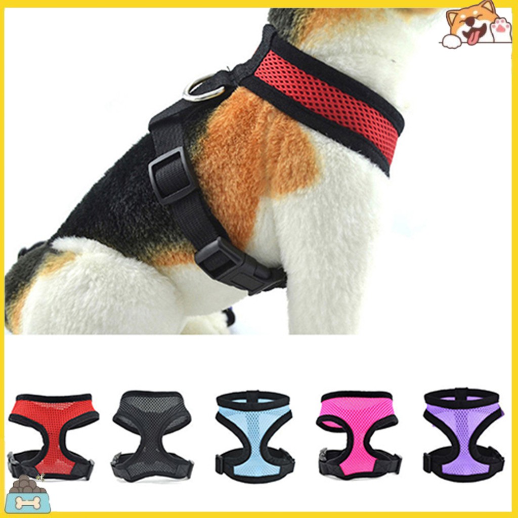 Áo vest lưới dây mềm mại xinh xắn gắn dây dắt đi dạo tiện lợi cho thú cưng