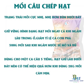 mồi câu chép hạt sapham