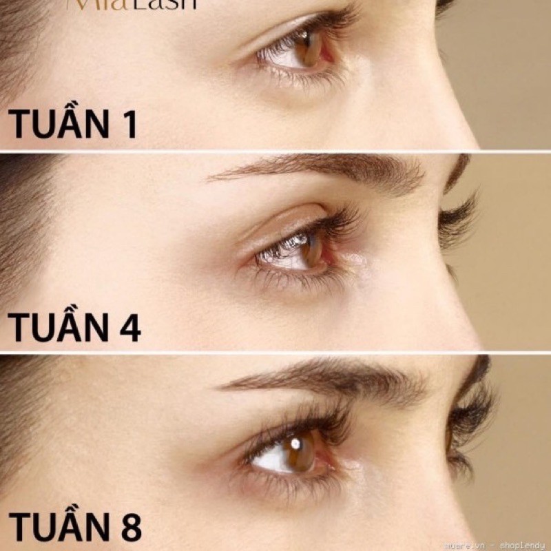 [Natural]- Mascara Dầu Dừa Bến Tre nguyên chất Dưỡng Mi nhanh dài và dày, giúp sợi mi khoẻ mạnh, mềm mại, giảm gãy r | BigBuy360 - bigbuy360.vn