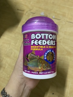 CÁM CÁ ĂN ĐÁY BOTTOM 72gr ( viên chìm 1cm)