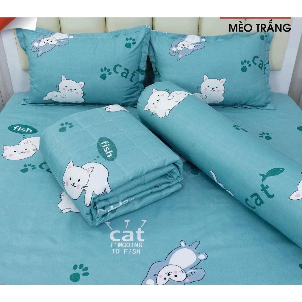 (Combo 5 Món) Chăn Hè - Cotton Poly Chăn Ga Gối Mùa Hè Gồm 1 Gối Ôm,2 Gối Đầu,1 Chăn Hè,1 Ga Chun Ga Chun