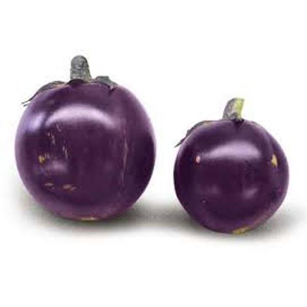 HẠT GIỐNG CÀ BÁT TÍM LAI F1 (NN.17) 2G