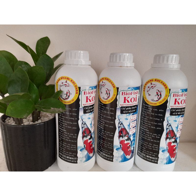 VI SINH BIO FISH 1000ml dùng cho 200m³ hồ cá Koi, cá cảnh/ Vi sinh hồ cá