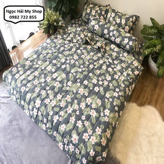 Bộ drap giường cotton poly (chọn mẫu)