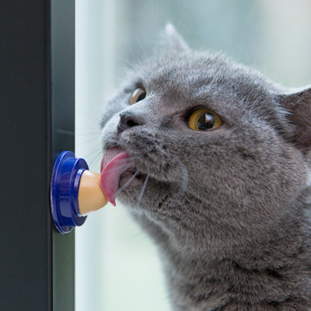 Kẹo thiết kế hình cầu dinh dưỡng vui nhộn cho thú cưng mèo