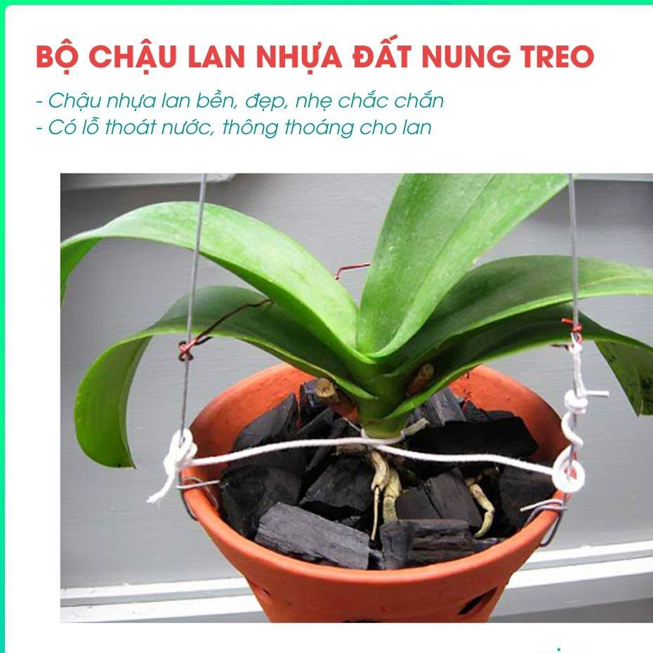 Chậu Nhựa Trồng Lan, Hoa Kiểng Màu Cam Đất 14,17,21,23cm- Bền, Dẻo, Có Lỗ Thoát Nước, Có Thể Cài Móc Treo Lên Cao