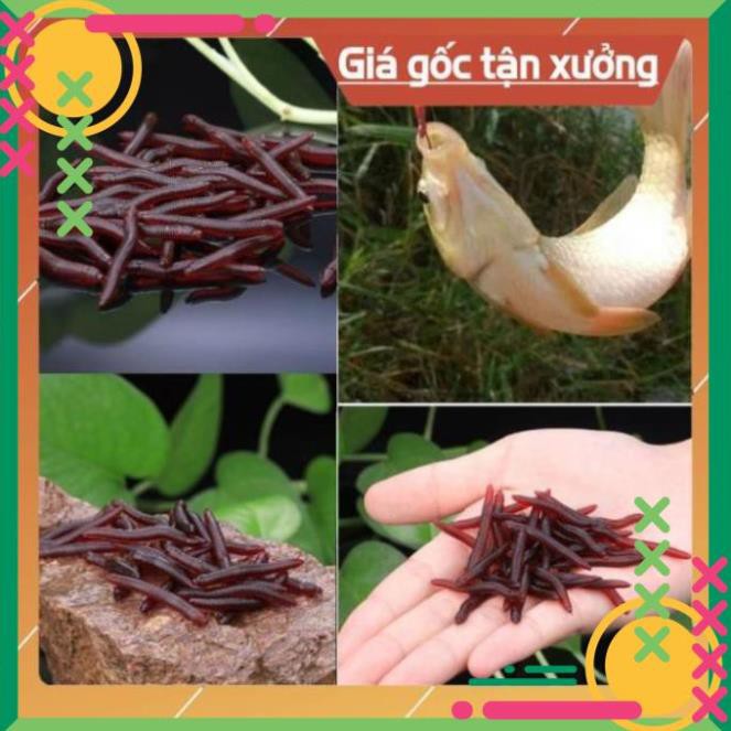 [SALE]  Mồi Giun Giả Siêu Nhậy Không Có Hóa Chất Siêu Bền