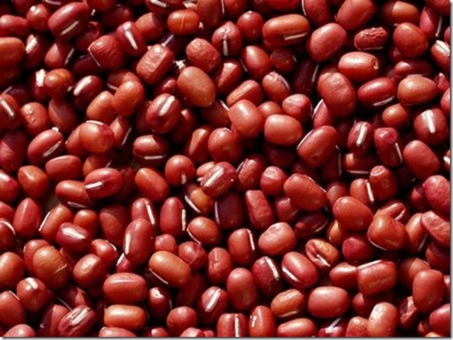 Đậu đỏ quê hạt nhỏ