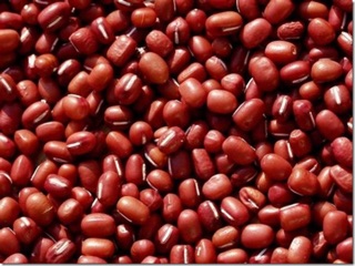 đậu đỏ quê hạt nhỏ