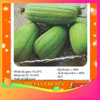 [TOP] Hạt Giống Mướp Đài Loan - 10 Hạt [ Tặng Kèm 1 Viên Nén Xơ Dừa ] VIETGAR