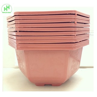 10 Chậu Nhựa Lục Giác Trồng Hoa, Cây Cảnh Bình Thuận Bonsai 350x210