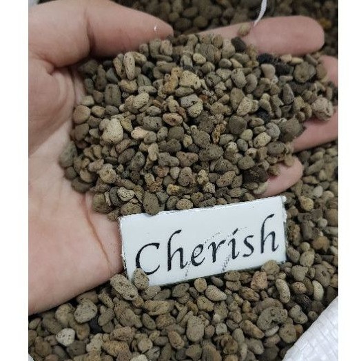 Đá pumice bọt núi lửa sz 3-6mm,trộn giá thể trồng sen đá,cây cảnh 1Kg