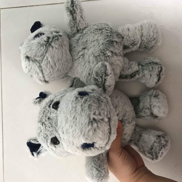 Gấu bông đồng giá