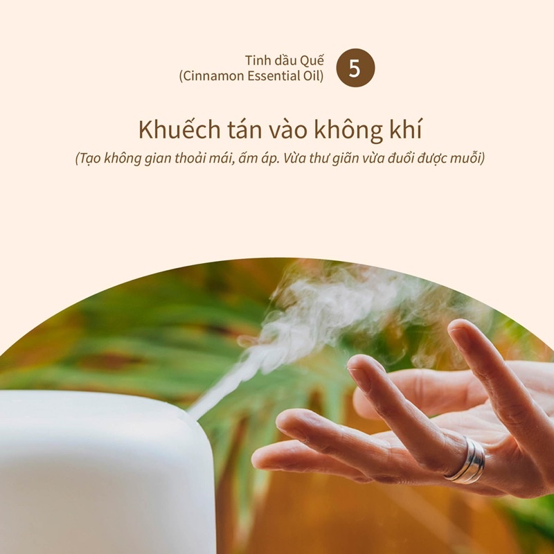 Tinh dầu vỏ quế 100ml