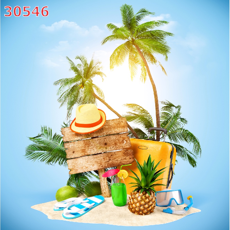 Tranh Dán Tường Họa Tiết biển, đảo, nhiều kích thước khác nhau