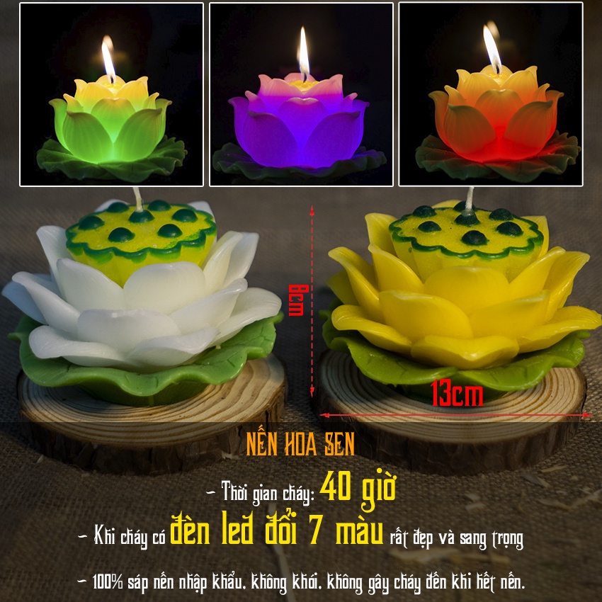 Nến hoa sen đổi màu thờ phật (40 giờ) - nến bông sen trang trí candle shop