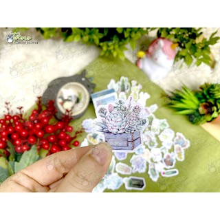 Hộp sticker Watercolor Cactus