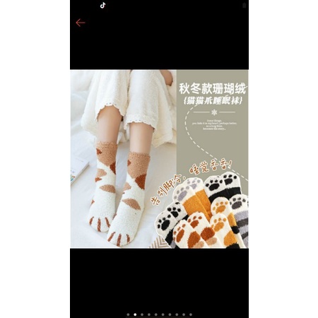 Tất Vớ Bông Lông Cừu Hình Bàn Chân Mèo Dễ Thương
