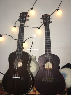 Ukulele concert