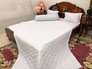 Ruột chăn hè Eviko