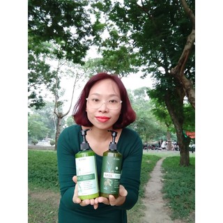 COMBO Dầu gội xả NEW