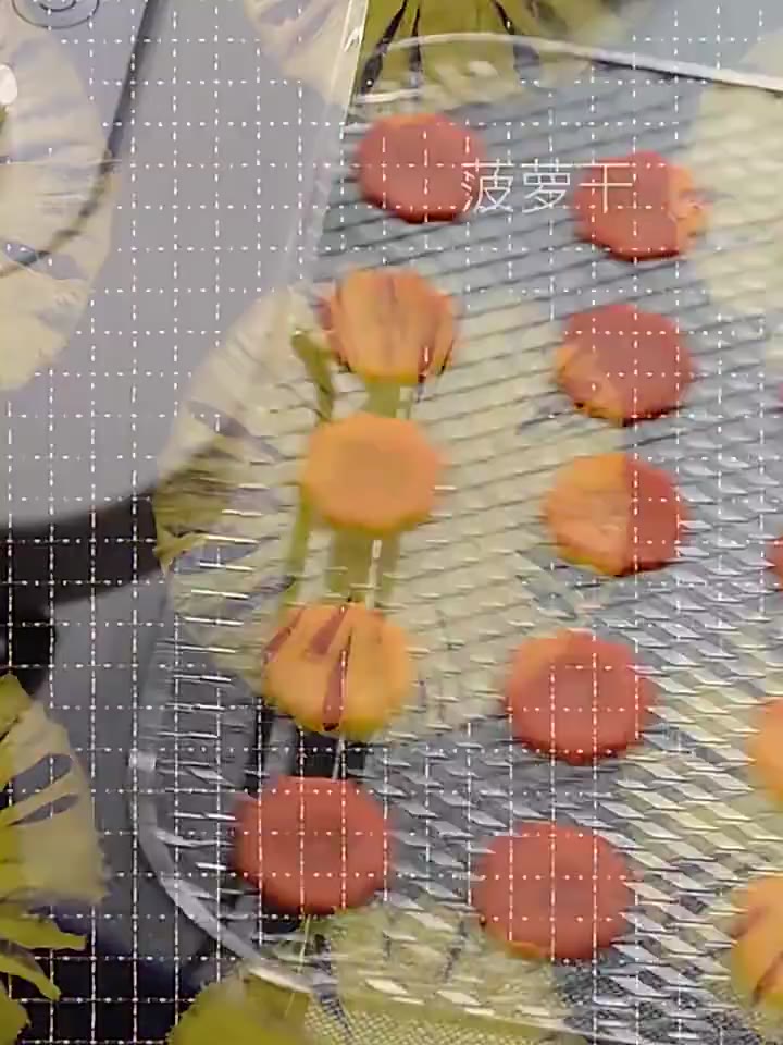 Máy Khử Mùi, Diệt Khuẩn, Lọc Không Khí Trong Tủ Lạnh Morphy Richards MR2060 | BigBuy360 - bigbuy360.vn